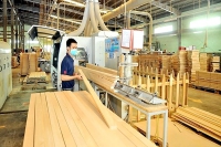 Nhiều dư địa xuất khẩu gỗ vào thị trường Hoa Kỳ