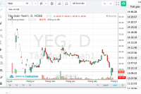 Cổ phiếu YEG khó trở lại đỉnh cũ