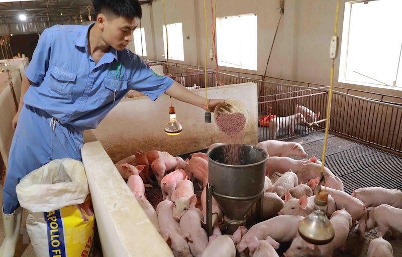Việt Nam nhập khẩu 22,3 triệu tấn nguyên liệu thức ăn chăn nuôi với giá trị là 9,07 tỉ USD. Đây chính là một thách thức lớn nhất trong ngành chăn nuôi của Việt Nam hiện nay.