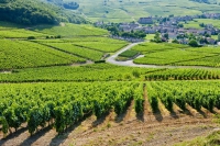 Nông nghiệp đa giá trị ở Pháp