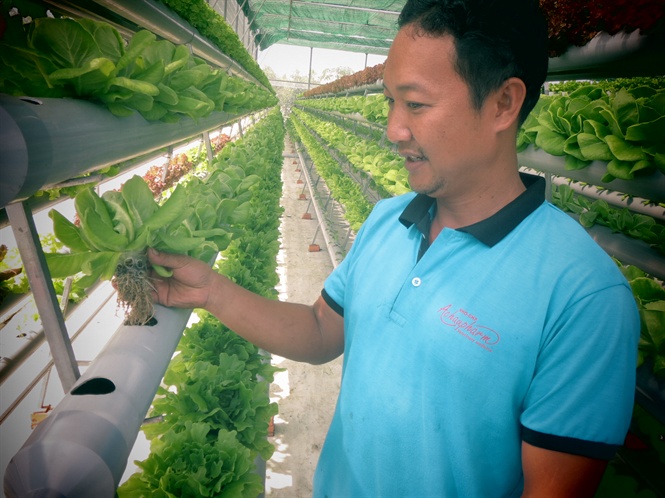 Anh Ngô Hữu Anh Khôi giới thiệu cây cải phát triển nhờ bộ rễ hút nước từ ống dẫn nước