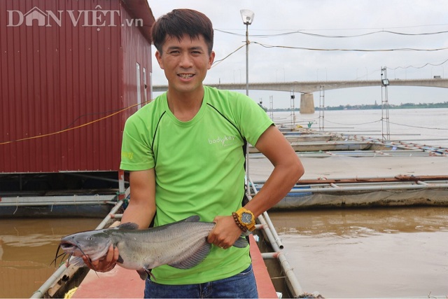 Nhờ nuôi cá lăng trên sông theo tiêu chuẩn VietGAP mà gia đình anh Quyền lãi hơn 300 triệu đồng/năm.