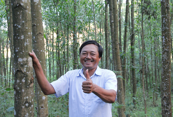 Sau tháng ngày cơ cực khai hoang trồng rừng, giờ đây anh Cáp Quốc Hà có thể hái quả ngọt và trở thành tỷ phú. Ảnh: N.V