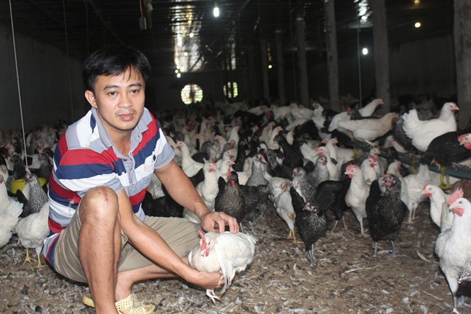 Anh Nguyễn Văn Bòng giới thiệu giống gà Ai Cập