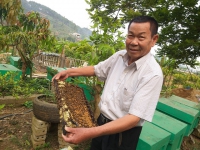 U80 lập nghiệp thành công nhờ nuôi ong, kiếm gần tỷ đồng mỗi năm