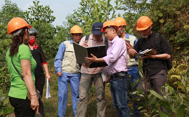Cán bộ Công ty cổ phần Woodsland Tuyên Quang hướng dẫn người dân xã Tiến Bộ các quy chuẩn trồng rừng gỗ lớn.