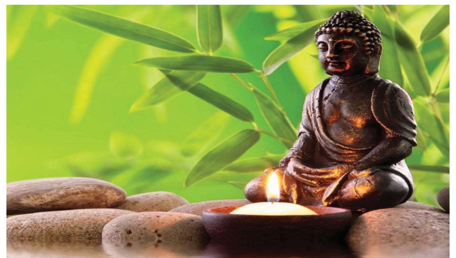 Thiền đã vượt ra ngoài khuôn khổ tu hành và phát triển mạnh mẽ trên toàn thế giới nhờ những lợi ích tuyệt với cho sức khỏe và tinh thần.