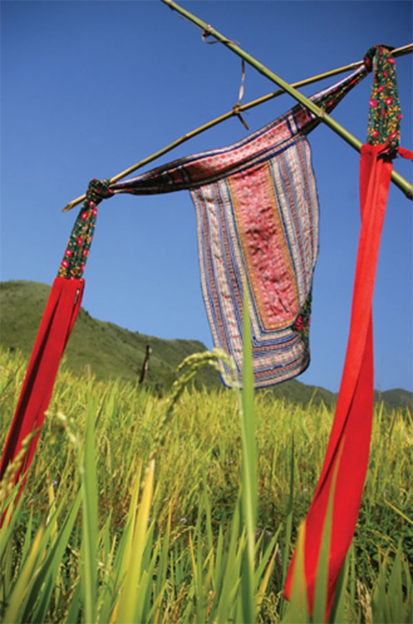 Vào mùa lúa lên đòng, trổ bông người Mông ở Sa Pa (Lào Cai) thường mang những tấm áo thổ cẩm đã cũ mang lên ruộng bậc thang cắm để xua đuổi chim muông.
