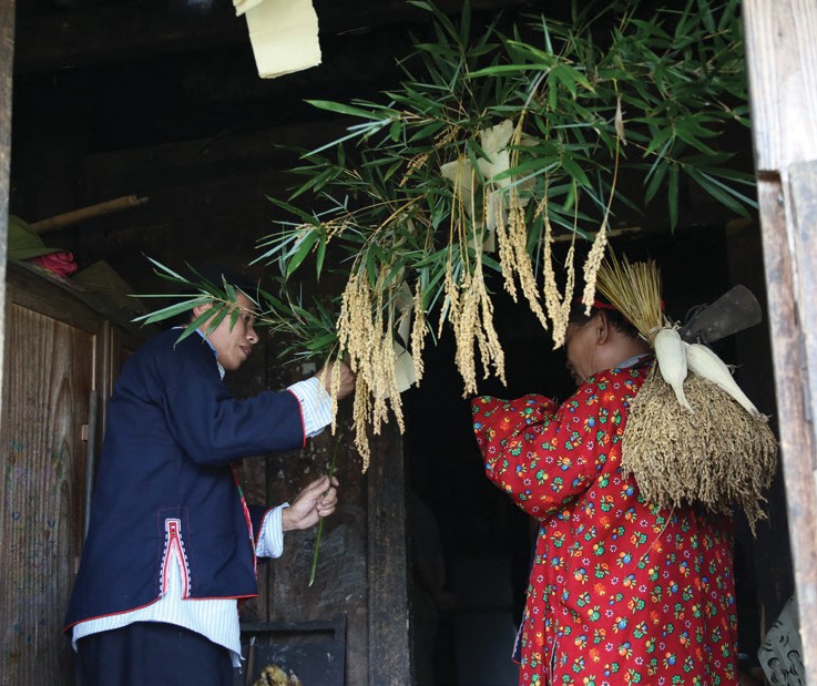 p/Người Dao ở Hồ Thầu, Huyện Hoàng Su Phì, tỉnh Hà Giang tiến hành nghi lễ gọi hồn lúa trên những thửa ruộng bậc thang.
