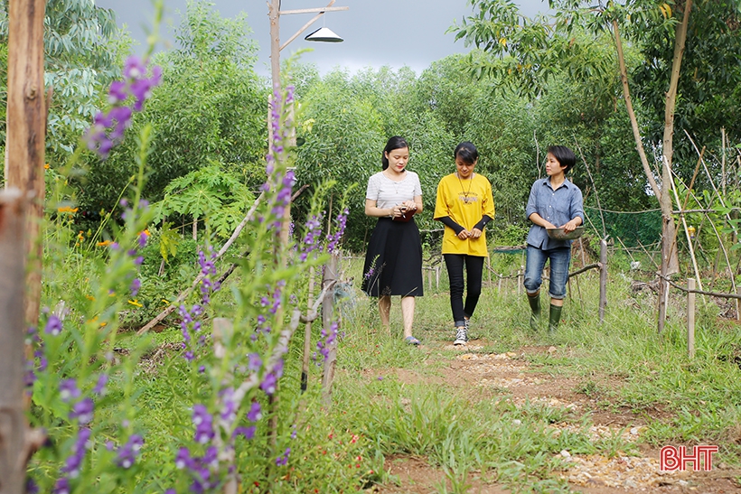 Dự án “Mô hình nông nghiệp hữu cơ bền vững kết hợp du lịch trải nghiệm văn hóa địa phương” của hai bạn trẻ Trần Thị Hằng và Nguyễn Thị Ngà (bên phải), xã Thạch Xuân là một trong những dự án “Dự án khởi nghiệp thanh niên huyện Thạch Hà” năm 2019.