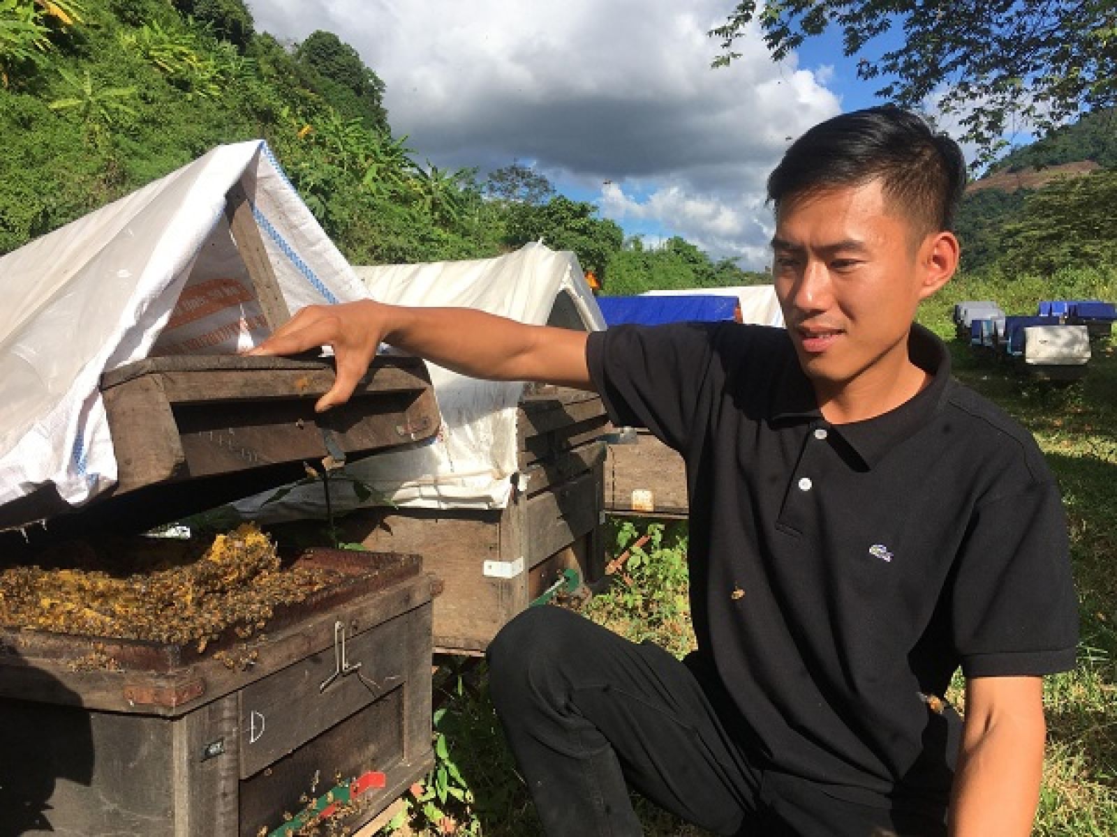 Anh Phong đang kiểm tra quá trình phát triển làm mật của từng đàn ong mật.