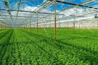 Nghiên cứu các khó khăn, rào cản khi khởi nghiệp từ nông nghiệp xanh