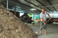 Khởi nghiệp nông nghiệp: Nông dân Yên Bái làm giàu thành công từ trồng nấm rơm