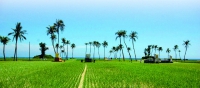 “Thiên đường” du lịch xanh Lý Sơn
