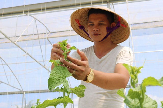 Anh Đinh Nho Quỳnh khiến nhiều người bất ngờ khi chọn cho mình cách làm giàu từ nghề nông. Ảnh: Thanh Tùng