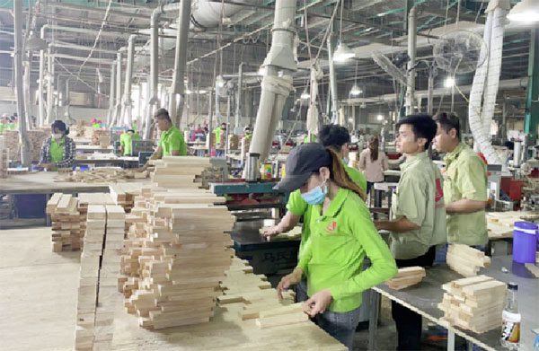  Nhiều doanh nghiệp đối diện khả năng bị đối tác thương mại phạt chậm giao hàng. Ảnh: Sản xuất gỗ ghép thanh tại Công ty Hoàng Thông.