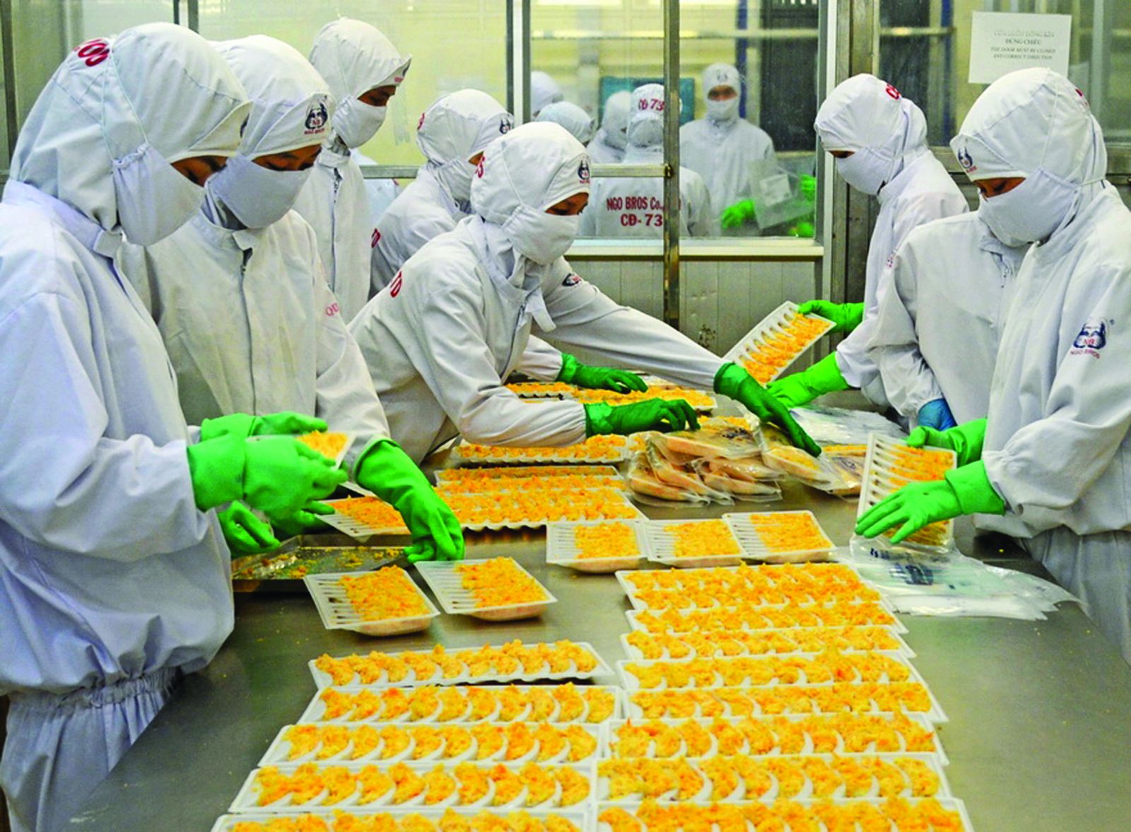  Đóng gói tôm bao bột xuất khẩu tại Công ty Thủy sản Minh Phú, Cà Mau. Ảnh: Phú Hữu