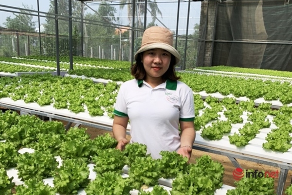 Chị Sang bên vườn rau trồng theo phương pháp thủy canh