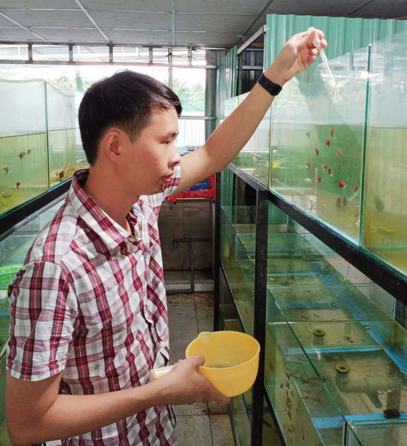 Nguyễn Thanh Huyền bên các bể cá cảnh.