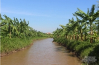 Khởi nghiệp nông nghiệp: Mô hình VAC khép kín ở Nam Định