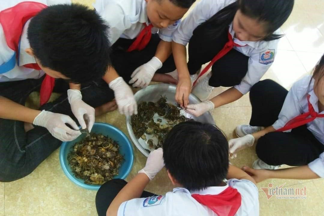 Học trò Hà Tĩnh khởi nghiệp với “nước chấm cua đồng”