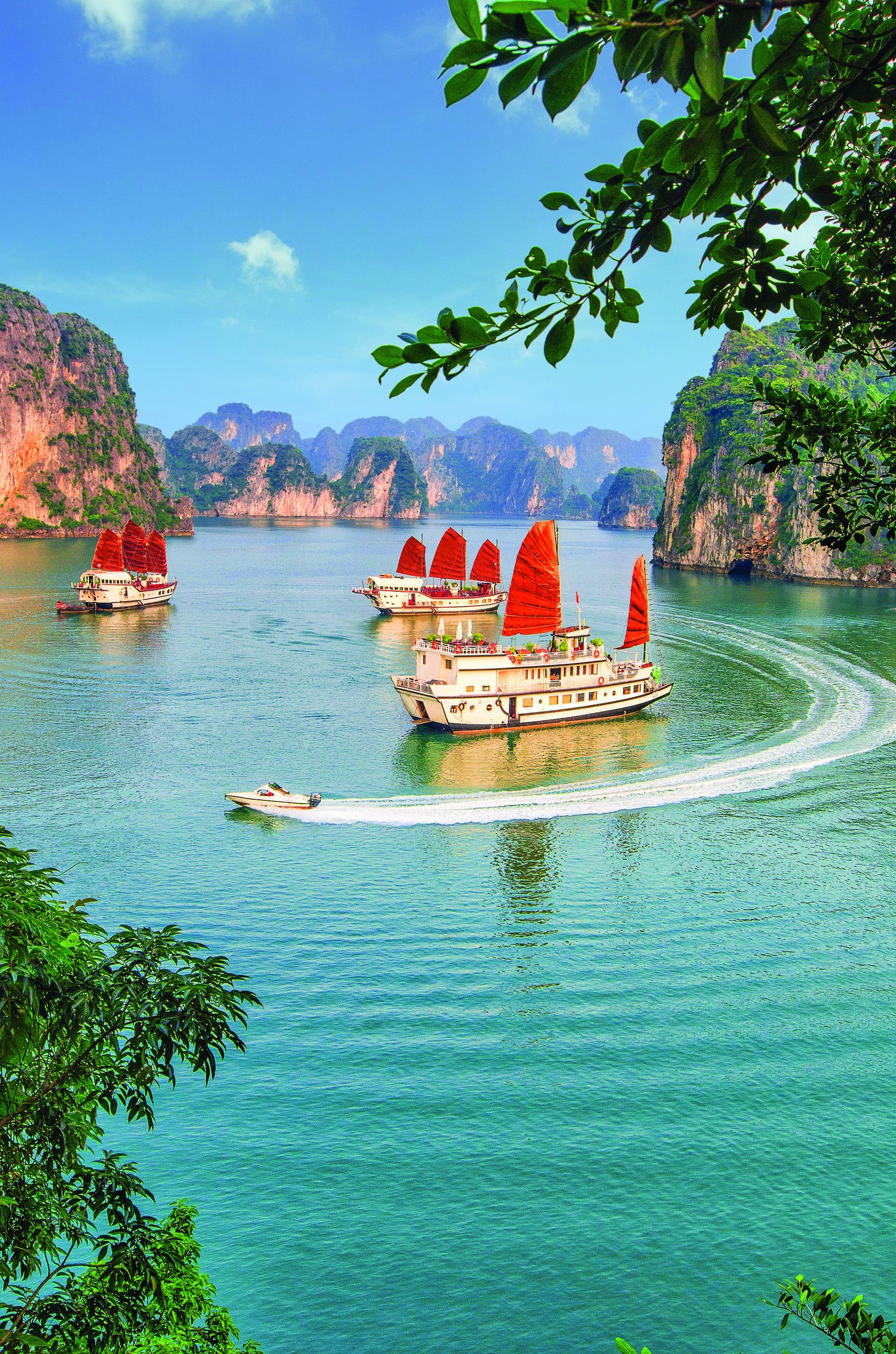  Vịnh Hạ Long đã đóng góp đáng kể vào doanh thu du lịch của Quảng Ninh trong suốt nhiều năm qua.