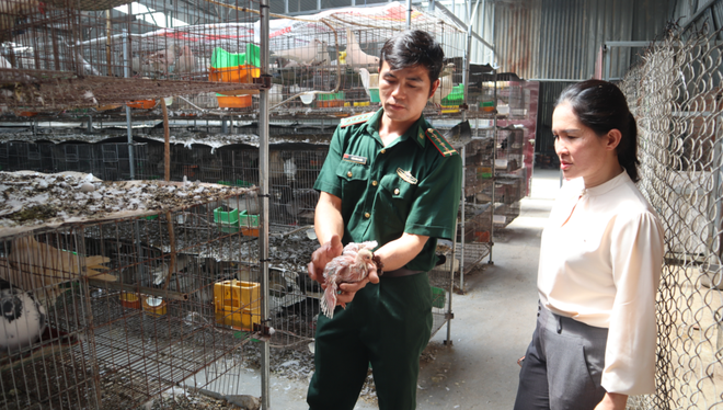 Quân nhân trẻ Trần Công Chiến cùng Chủ tịch hội nông dân xã Minh Long trao đổi về cách nuôi chim bồ câu; Ảnh: Hoàng Giáp