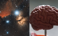 Các nhà khoa học kinh ngạc khi phát hiện sự tương đồng kỳ lạ giữa não người và vũ trụ