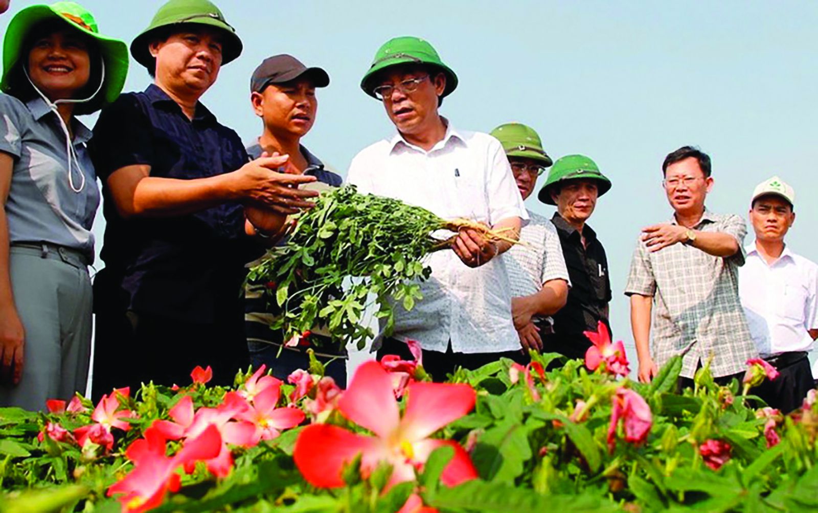 Nguyên Chủ tịch UBND tỉnh Quảng Trị (mũ cối áo trắng) Nguyễn Đức Chính đến thăm vườn sâm Bố Chính tại xã Gio An