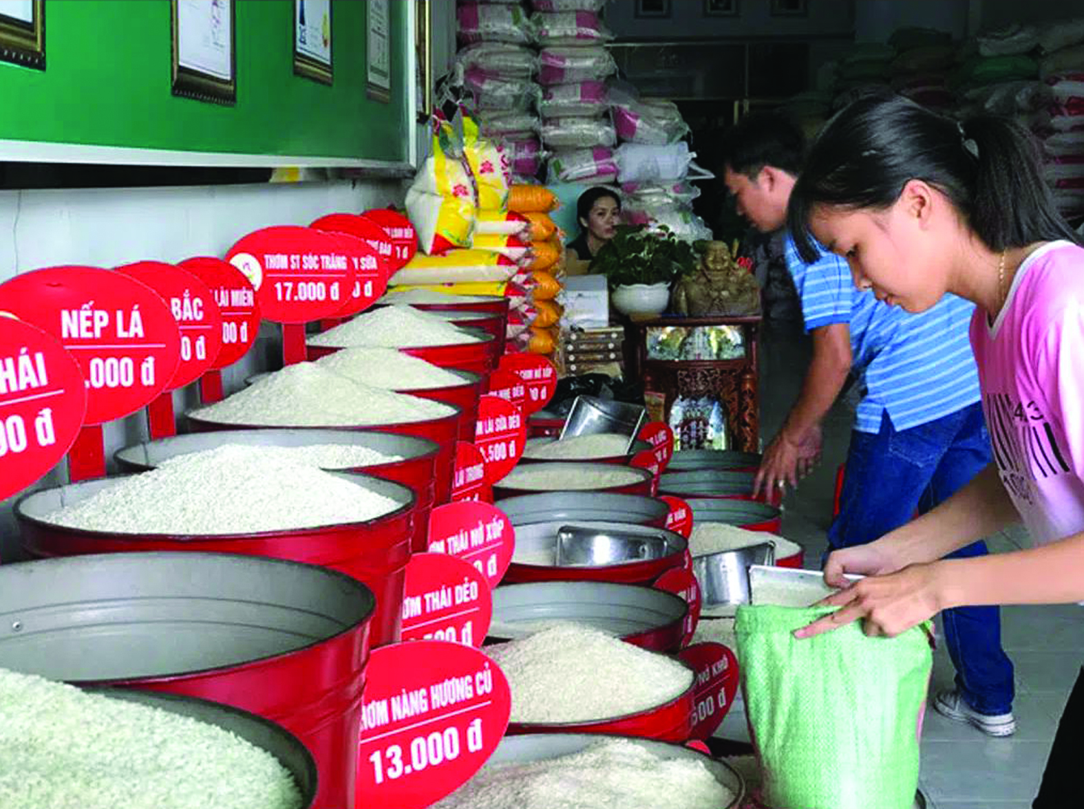 <p/>Gạo Việt Nam không thua gạo các nước xuất khẩu gạo khác nhưng chưa xây dựng được hình ảnh thương hiệu trên thị trường thế giới. Ảnh: H.GIANG