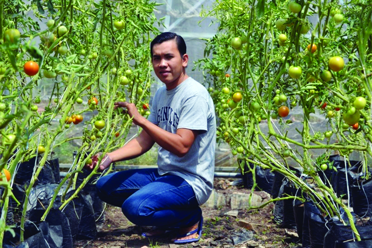  Anh Huỳnh Phú Lộc ở phường 5, tp Vĩnh Long (tỉnh Vĩnh Long) quyết tâm đầu tư khởi nghiệp thành công với mô hình nông nghiệp công nghệ cao.