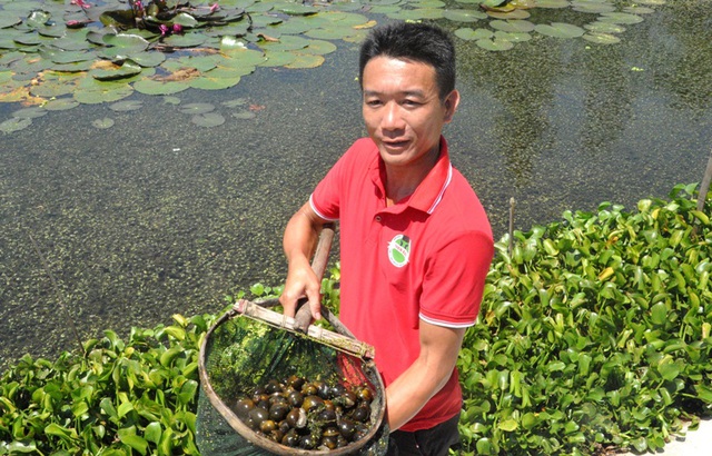 Anh Bùi Văn Hải - người anh họ và cũng là cộng sự, đồng hành cùng anh Bình từ những ngày bắt đầu vào nghề nuôi ốc.