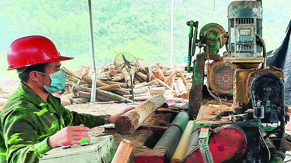  Công nhân Công ty TNHH Một thành viên Thương mại Hiếu Thủy (Đình Lập) vận hành máy bóc gỗ.