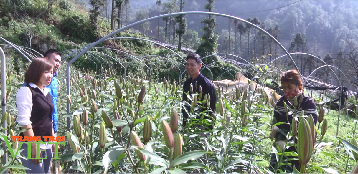 Với mô hình trồng hoa công nghệ cao, ông Nguyễn Phúc Minh (áo đen, từ phải vào) đã có thu nhập tiền tỷ mỗi năm.