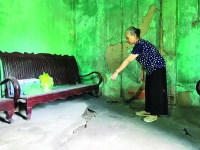 Nghịch lý san lấpp/dự án ở Quảng Ninh