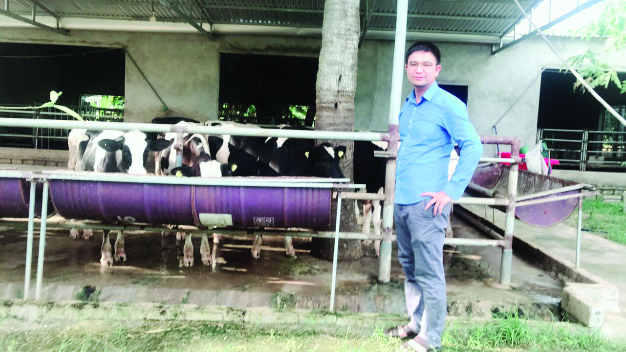 p/Mô hình “úm” bò sữa HF theo hướng chăn nuôi đầu vào nguyên liệu thức ăn sạch của HTX sản xuất kinh doanh sản phẩm sạch Từ Tâm đang cho hiệu quả kinh tế cao