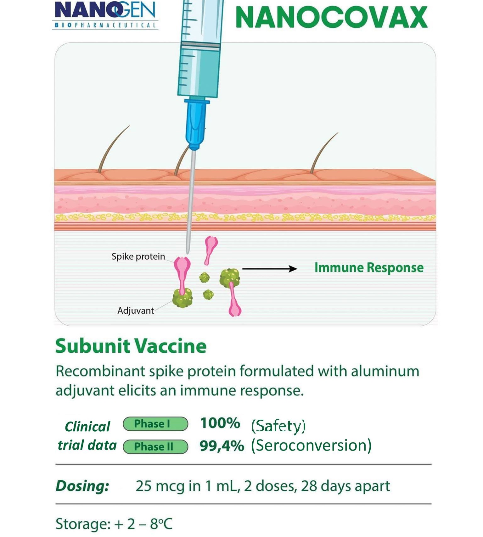 Nanocovax là vaccine tiểu đơn vị chứa kháng nguyên gai (S) SARS-CoV-2 tái tổ hợp, bản chất là protein S, có vai trò kích thích sinh miễn dịch kháng virus SARS-CoV-2.