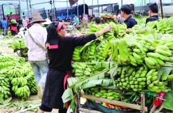 Lai Châu: Phát huy lợi thế từ kinh tế cửa khẩu