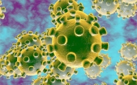 Chuyên gia Trung Quốc cảnh báo về đột biến mới của virus corona