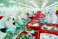 Kiên Giang: Phát triển công nghiệp bền vững