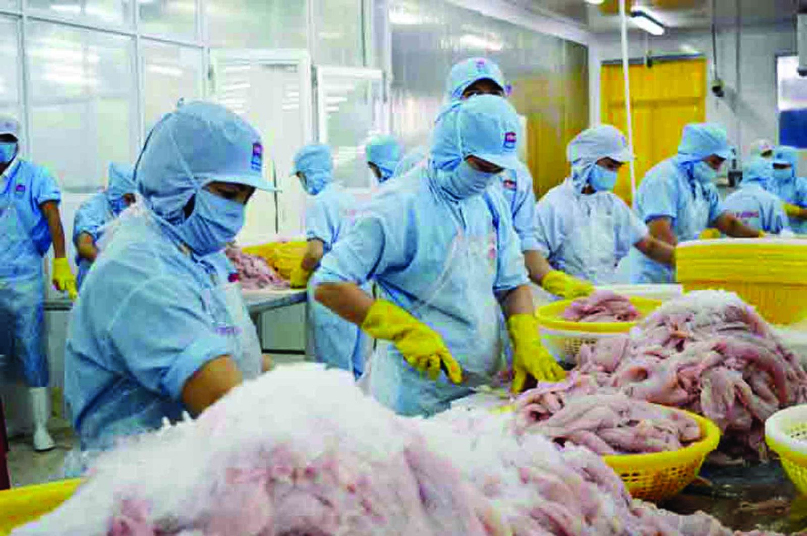 <p/>Chế biến cá xuất khẩu tại Khu công nghiệp An Hiệp, huyện Châu Thành 