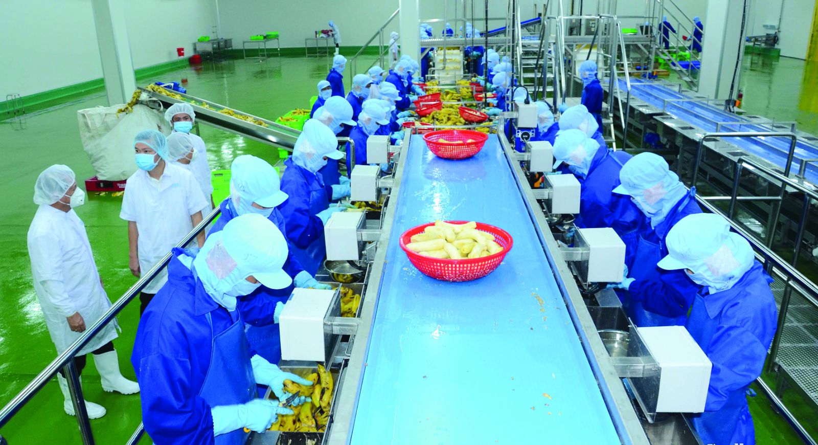 <p/>Dây chuyền chế biến rau quả cấp đông của Nhà máy chế biến nông sản của Công ty CP Công nghiệp thực phẩm Thabico - Tiền Giang đi vào hoạt động.