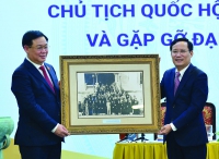 Chủ tịch VCCI Phạm Tấn Công: COVID-19 là động lực đột phá hoàn thiện thể chế