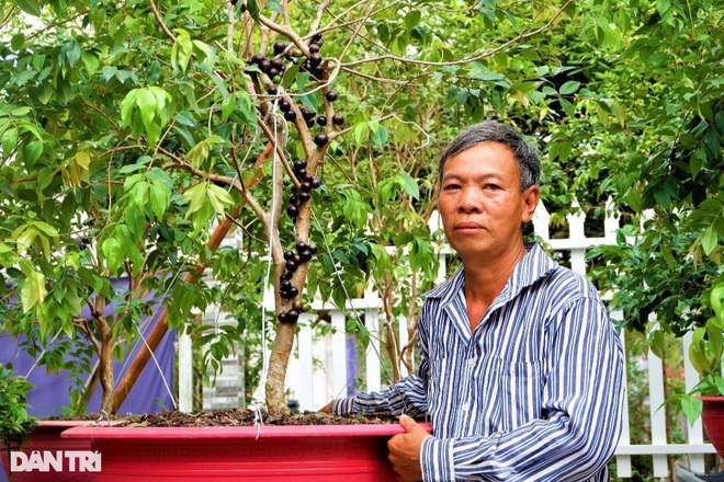 Ông Nguyễn Văn Dũng bên cây nho thân gỗ tứ quý (Ảnh: Bảo Kỳ).