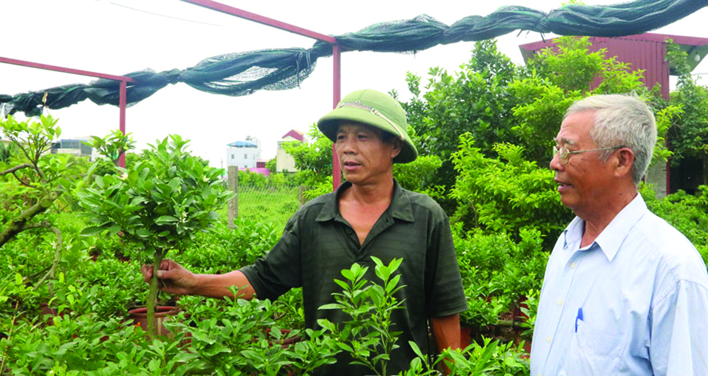 p/Phát triển hoa, cây cảnh là một hướng đi mang lại hiệu quả kinh tế cao cho người dân xã Nam Vân