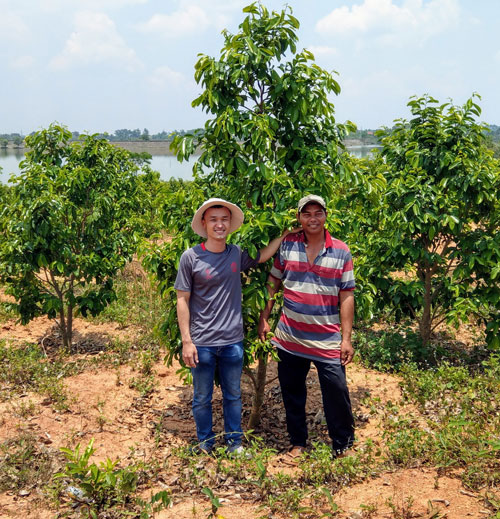 Anh Nguyễn Văn Sơn (trái) rời phố về quê lập nghiệp, thành công với sản phẩm trà mãng cầu Nguyễn Văn Ảnh: NGUYỄN NAM