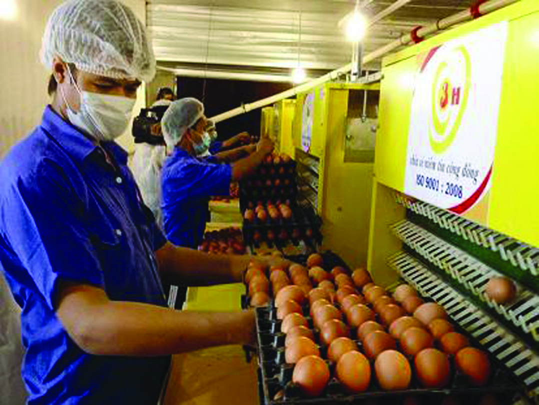 Công ty Ba Huân từng 2 lần từ chối tăng giá trứng.