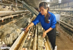 Nữ thạc sĩ rời TPHCM về quê nuôi giống gà đen xì, nhặt trứng mỏi tay
