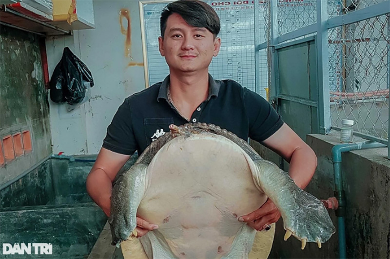 Anh Đặng Long Hồ kiếm tiền tỷ mỗi năm nhờ nuôi cua đinh trên bể kính (Ảnh: Bảo Kỳ).