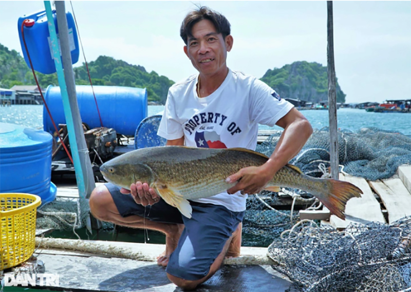 Anh Nguyễn Minh Nhựt đã tiên phong trong nghề nuôi cá kết hợp làm du lịch trên biển (Ảnh: Bảo Kỳ).
